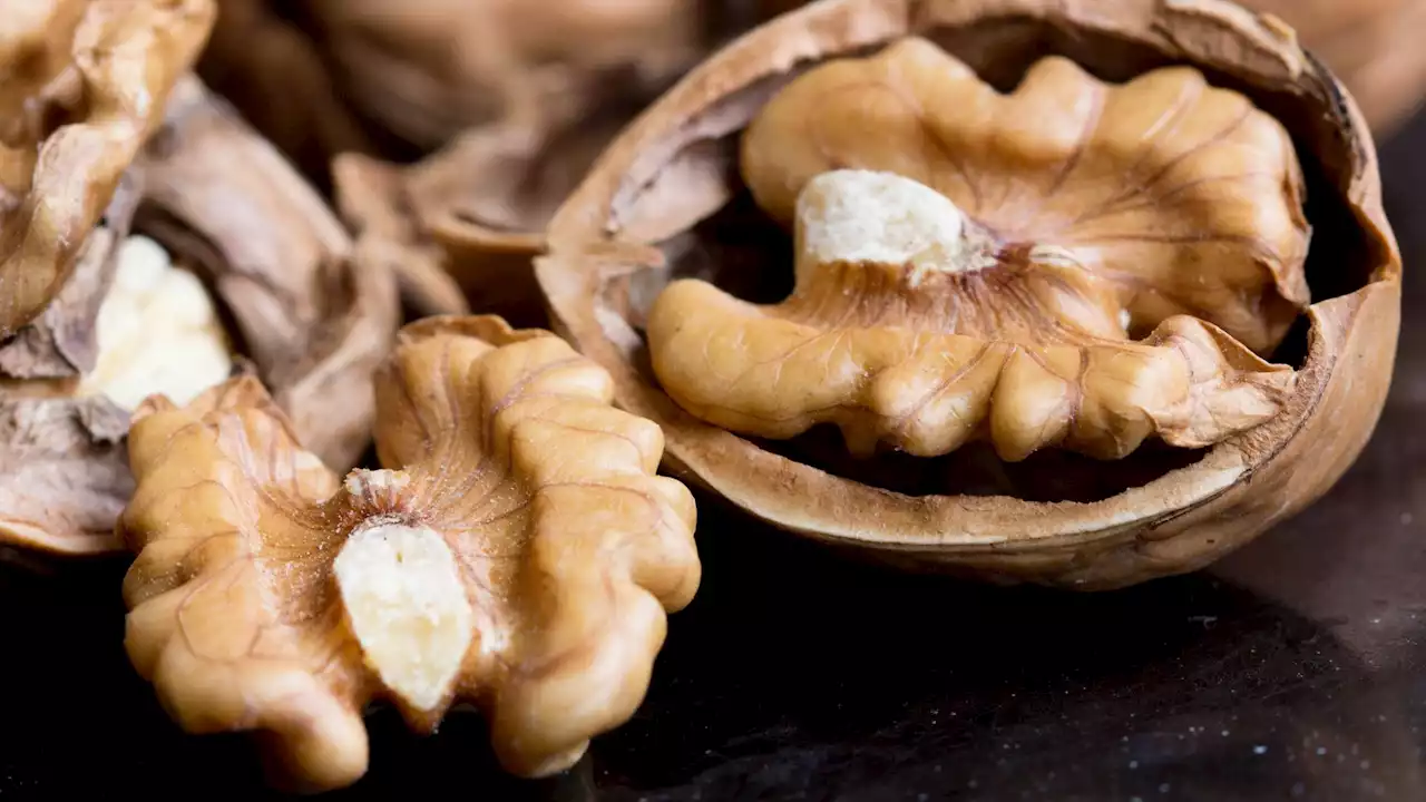 Gut microbes may be the reason walnuts lower cardiovascular risk