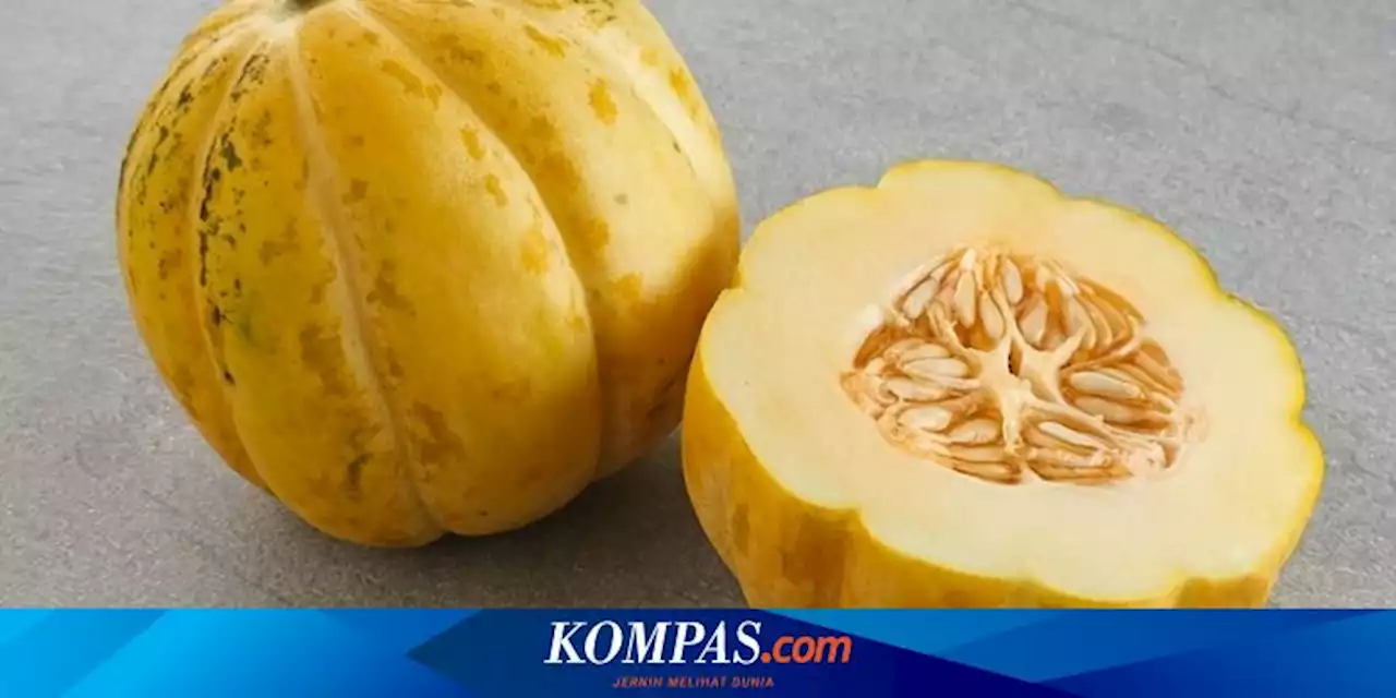 7 Manfaat Buah Blewah, untuk Hidrasi dan Menurunkan Risiko Kanker