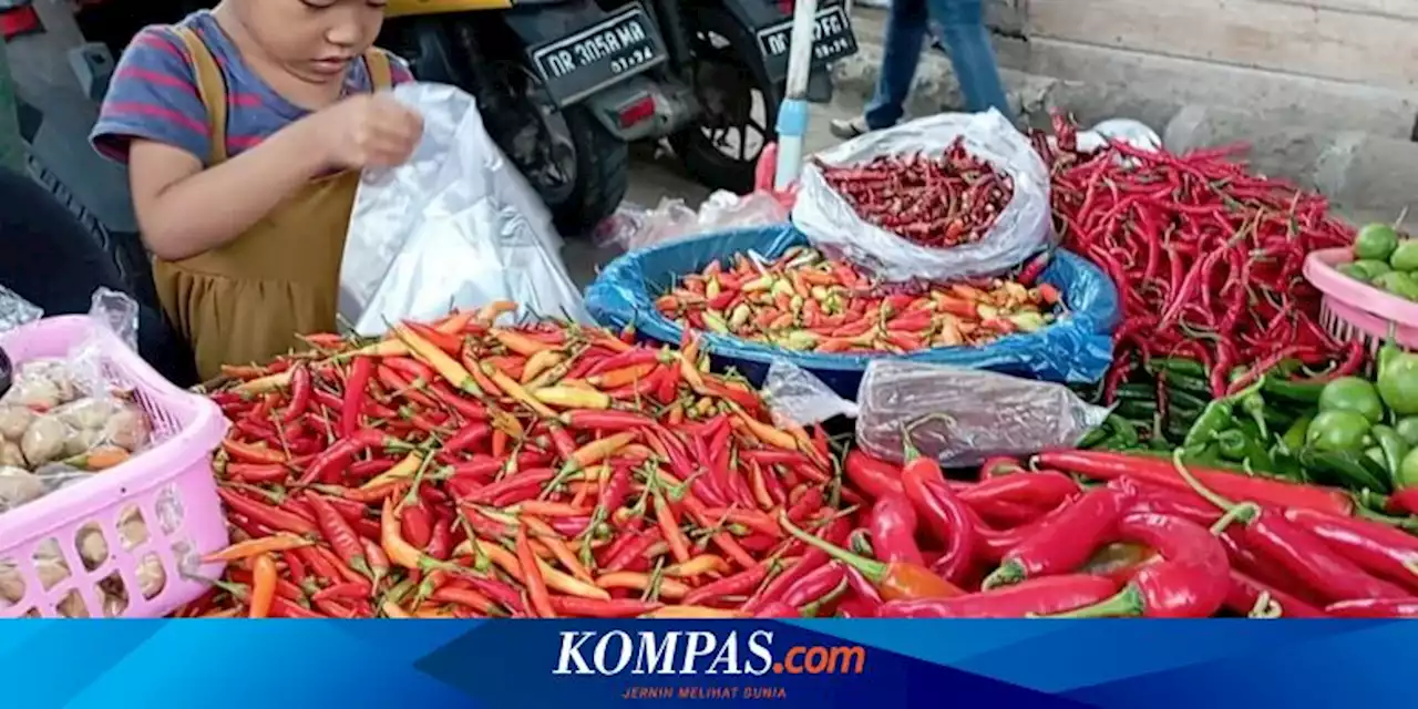 Harga Cabai di Lombok Tembus Rp 100.000 Per Kilogram