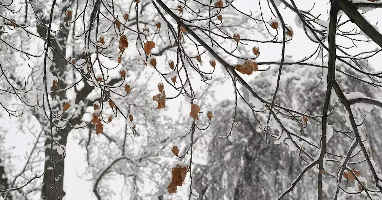Schnee, Frost: Der Winter meldet sich zurück