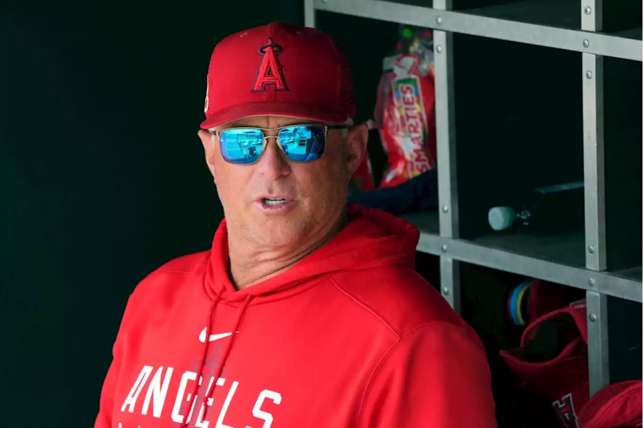 Angels rally to beat Cubs in final spring training game