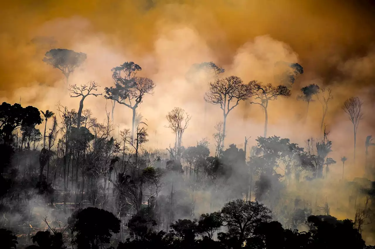 La vulnerabilidad de América Latina al cambio climático tiene una ventana de oportunidad, según expertos