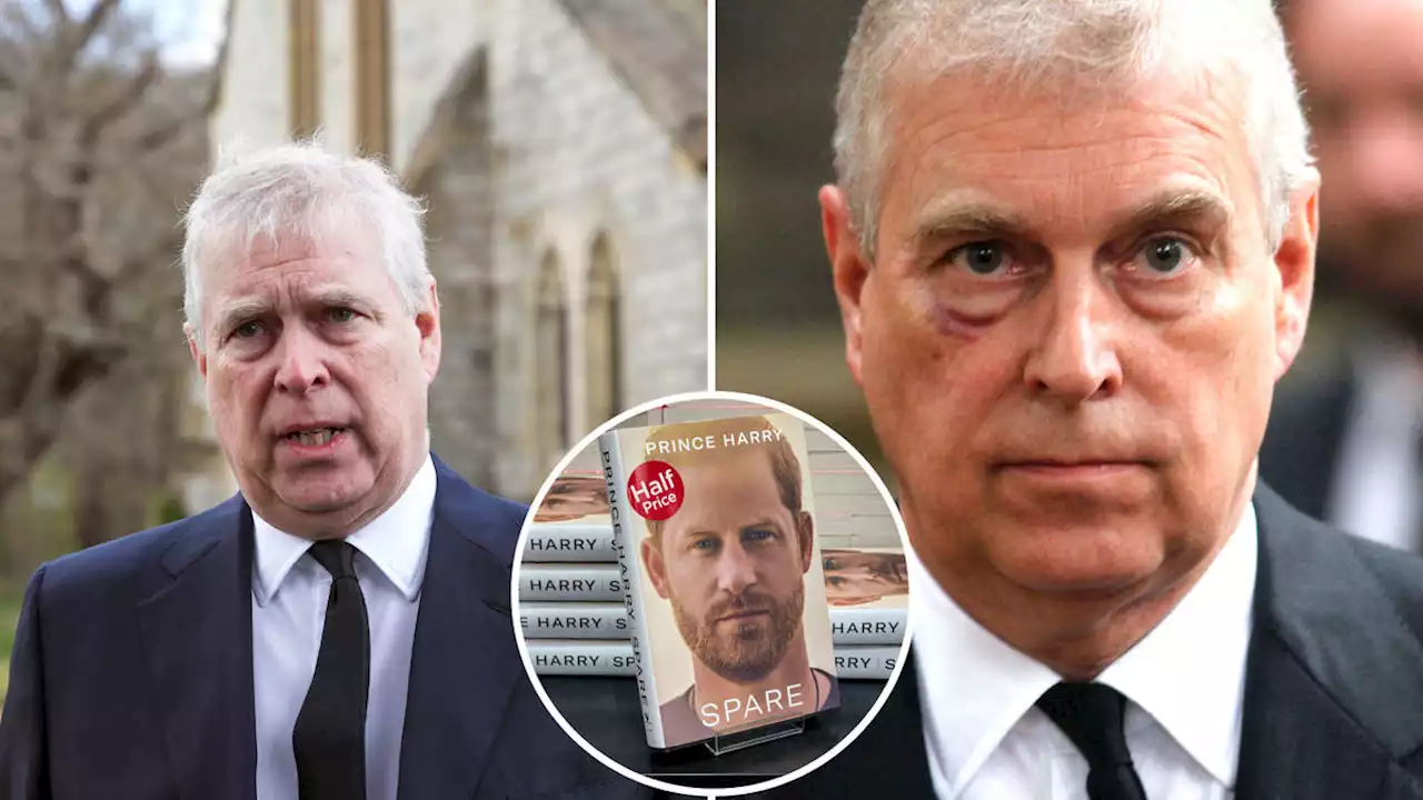 Prince Andrew 'to write tell-all autobiography' after Prince Harry's Spare success