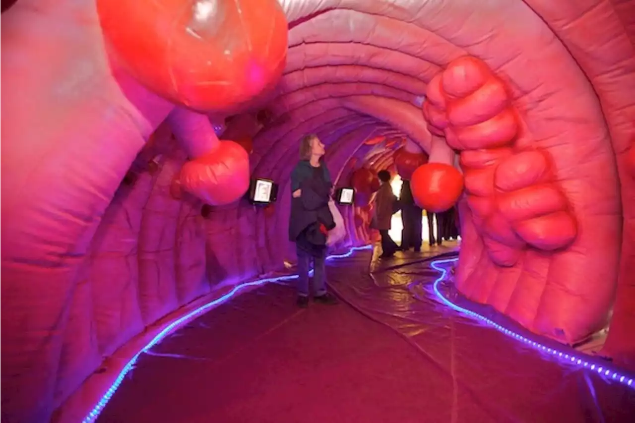 À Lille, visitez un côlon géant à l'hôpital Saint-Vincent de Paul