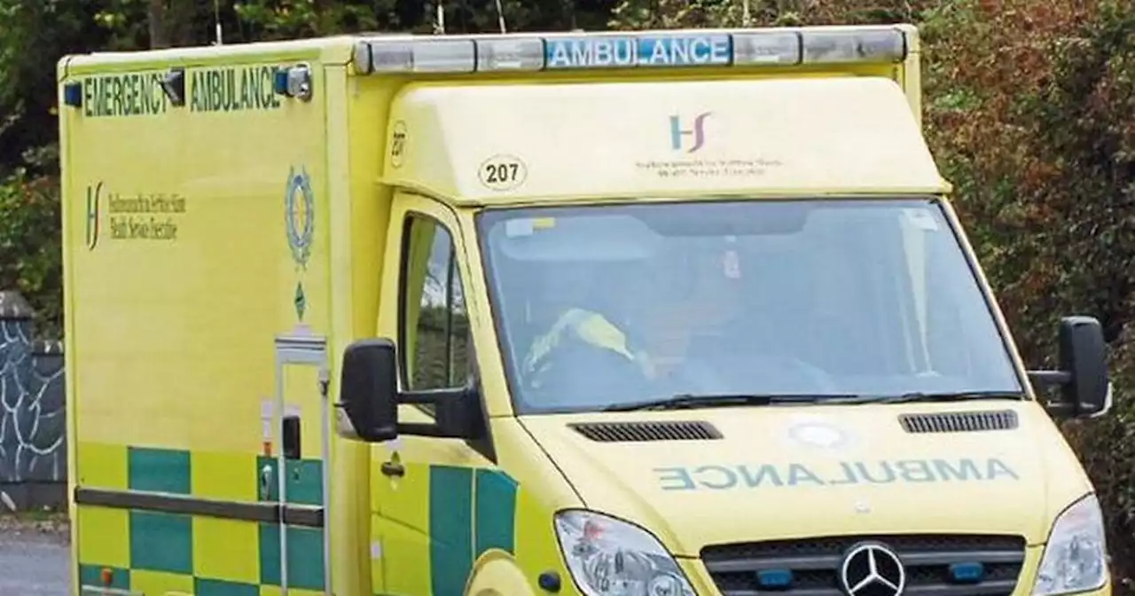 Man in his 80s dies after car crashes into trees