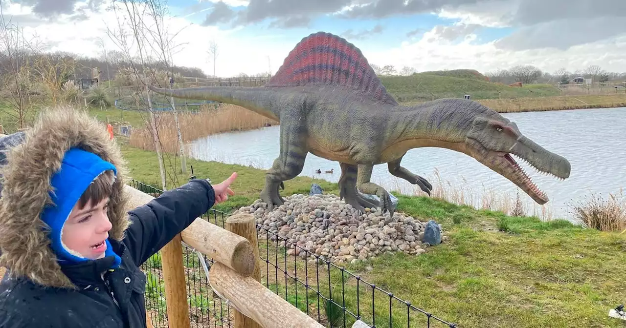 We stayed at a dinosaur park with a dino restaurant - my kids were in paradise