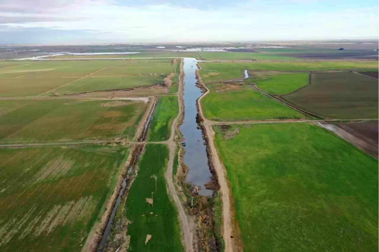 Groundwater report could ease residents’ concerns about future East Bay wetland