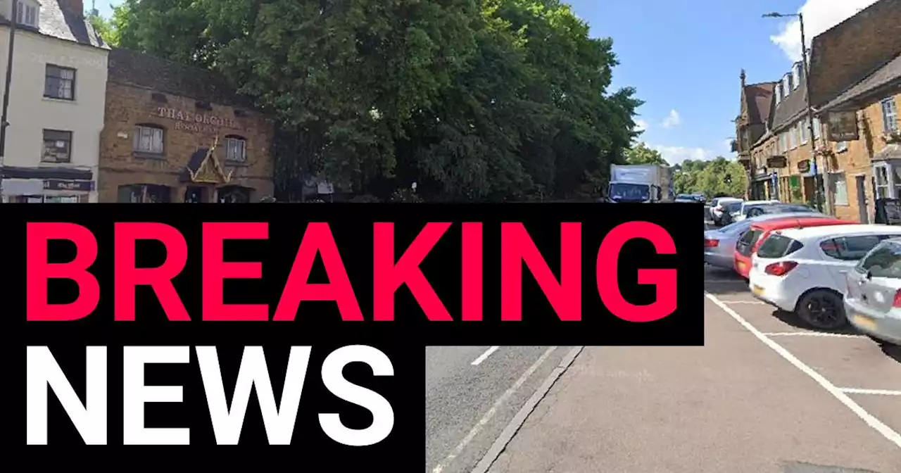 Teenage girl arrested after pensioner mowed down and killed outside restaurant