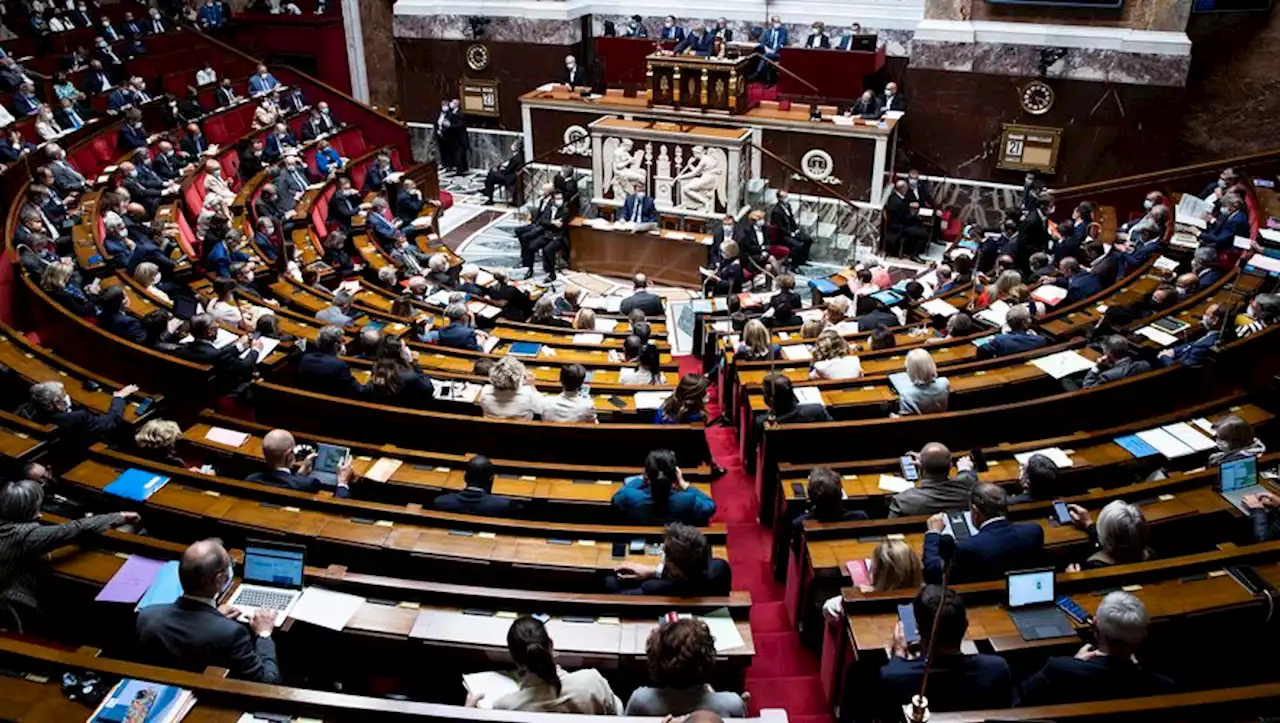 Quels partis profiteraient d'une dissolution de l'Assemblée nationale et de législatives anticipées ?