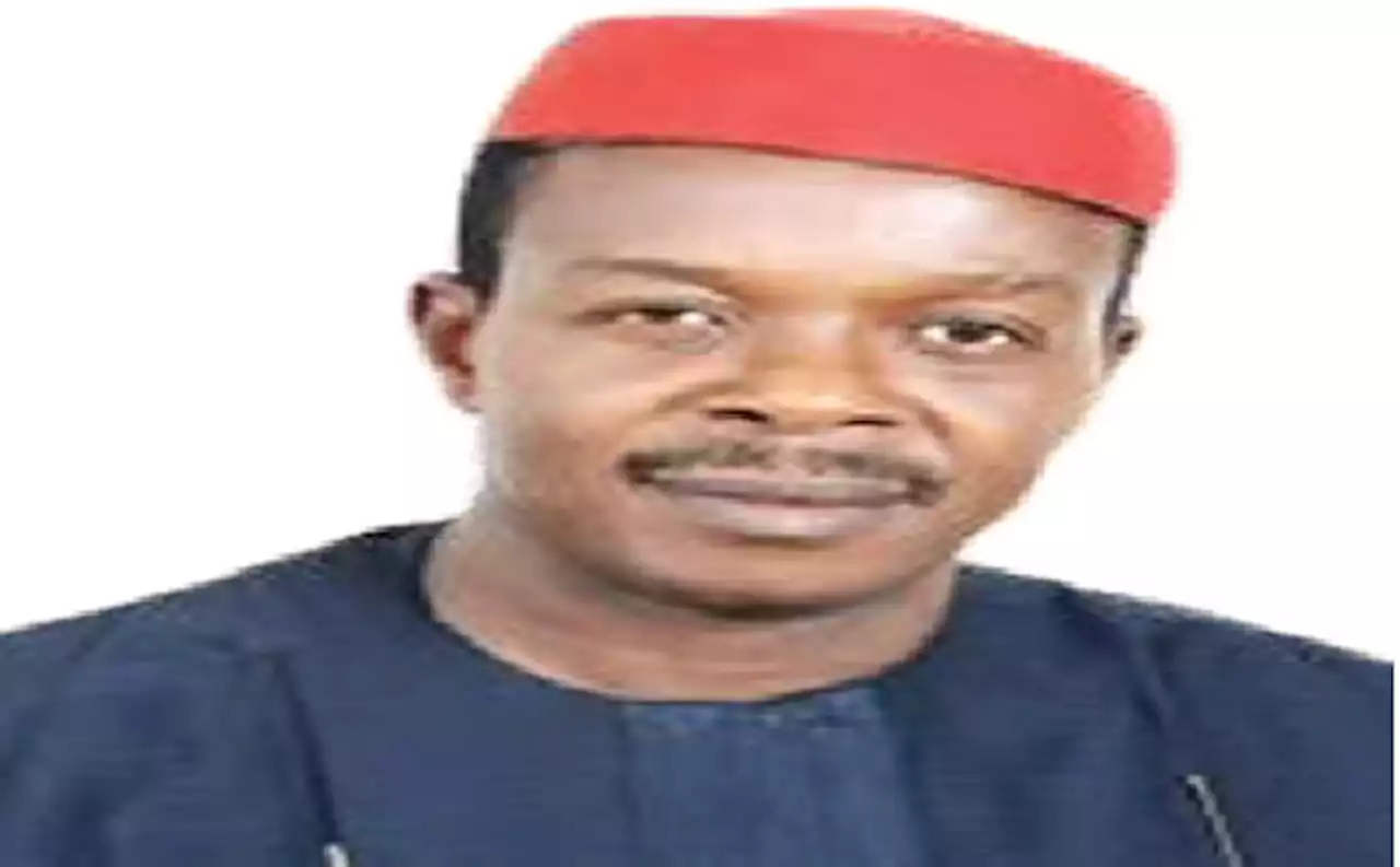 How I escaped Obi’s Tsunami in S’East – Imo North senator-elect, Ndubueze