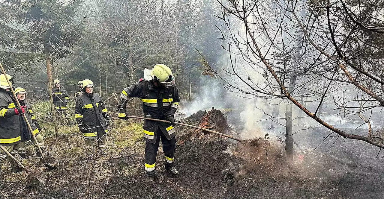 Zigarette aus der Hand gefallen: Oberösterreicher löste Waldbrand aus