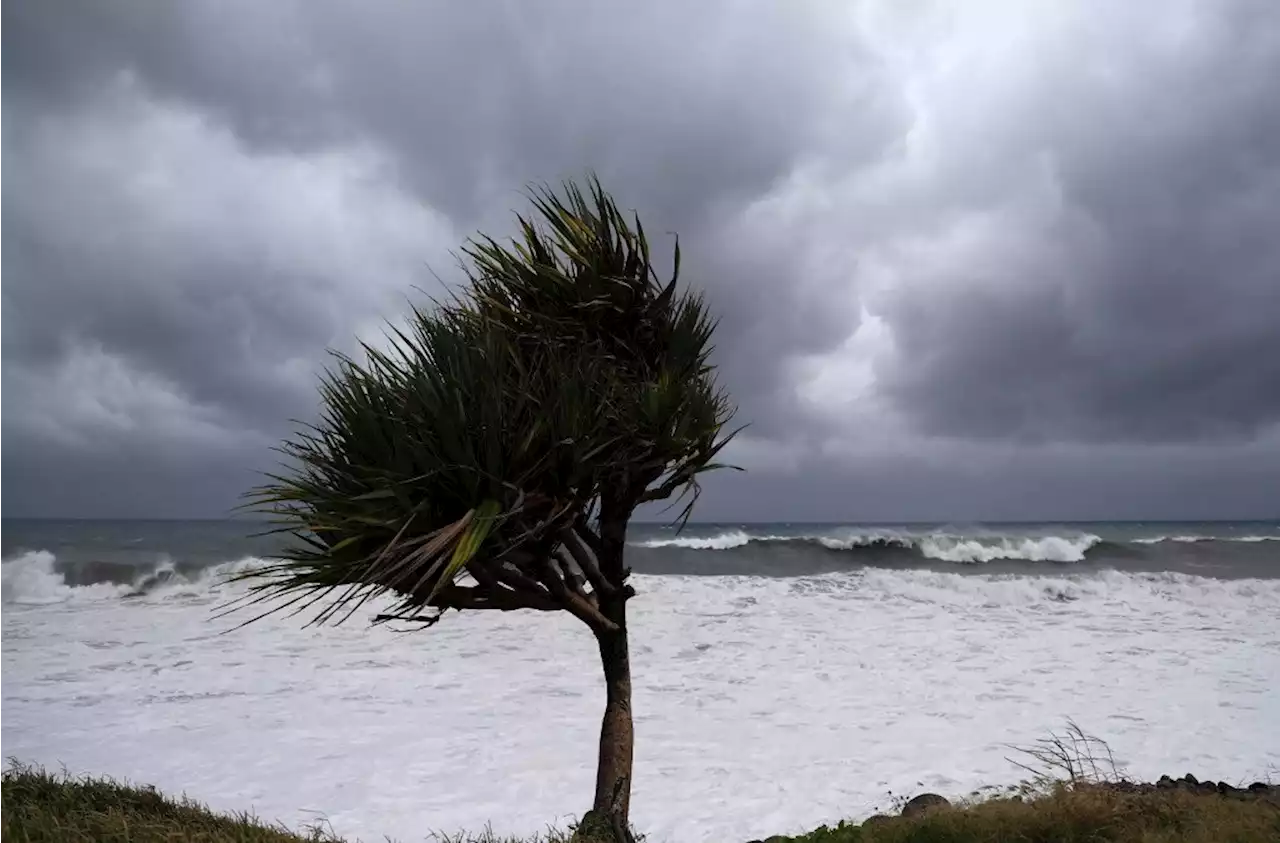 UN's global disaster alert systems goal faces uphill climb | Business