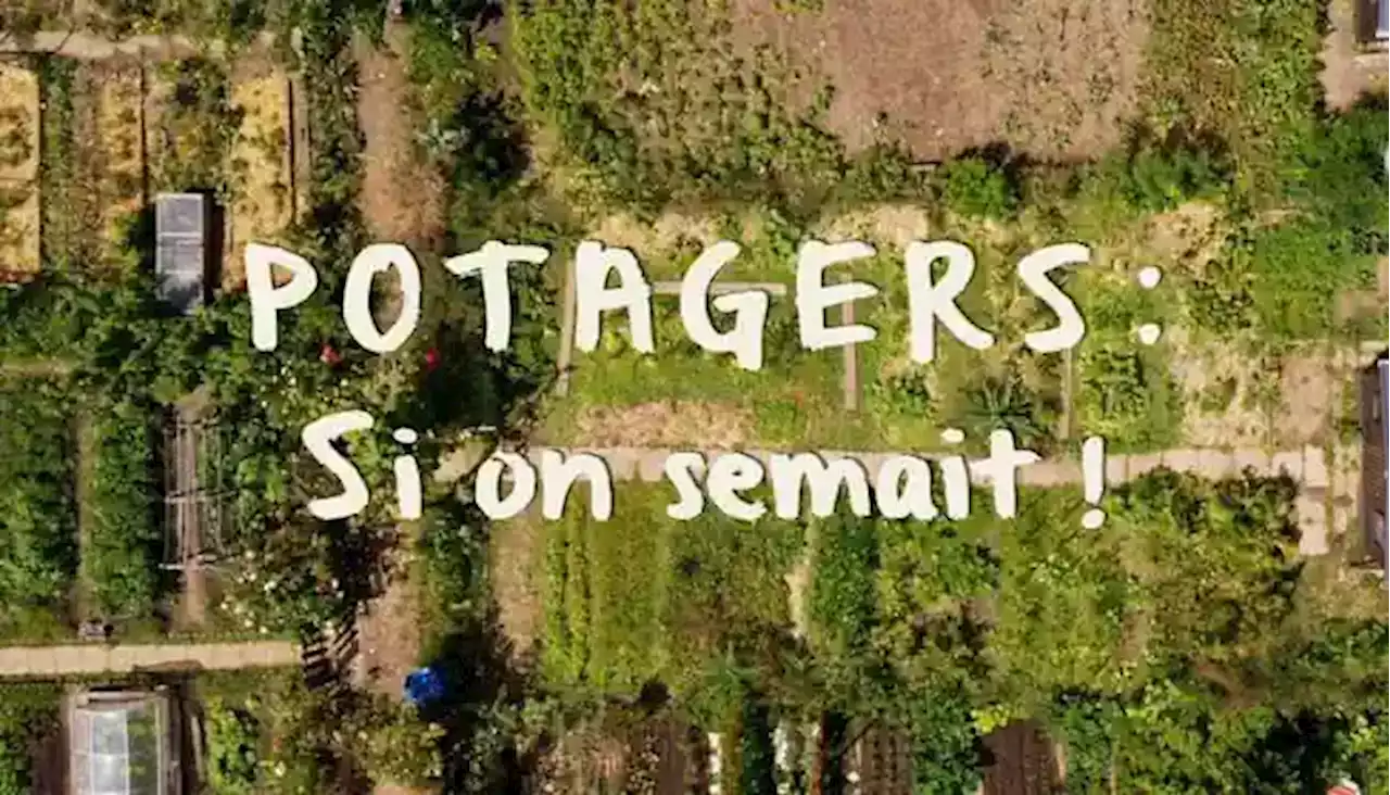 « Potagers : si on semait ! » , un documentaire inédit raconté par Julie Andrieu ce lundi 27 mars sur France 5 (Bande-annonce)