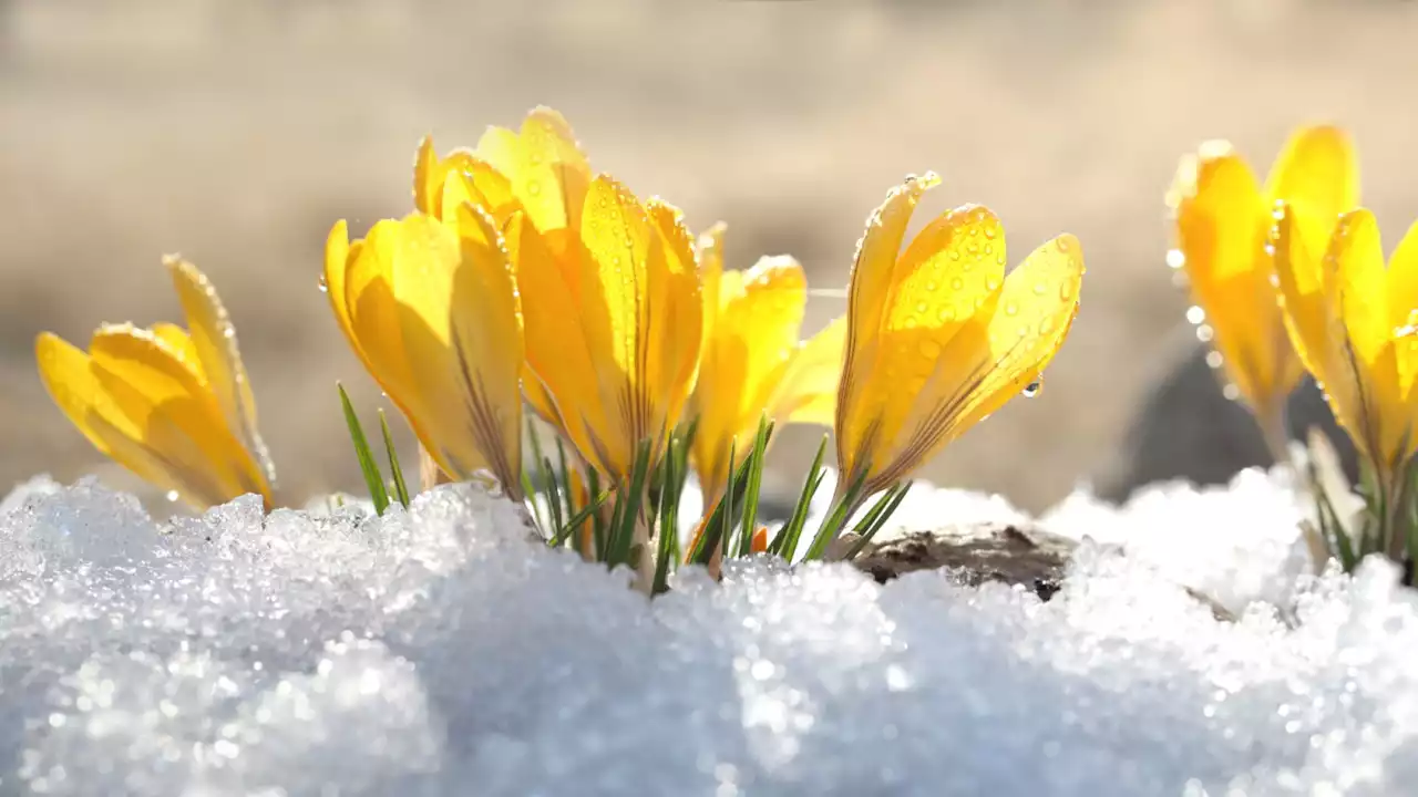 Der Winter kehrt für kurze Zeit zurück