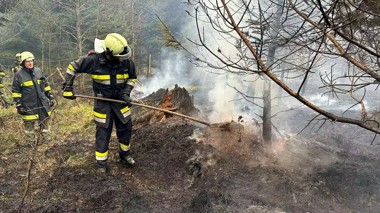 Waldbrand im Dunkelsteinerwald: Zigarette löste Feuer aus