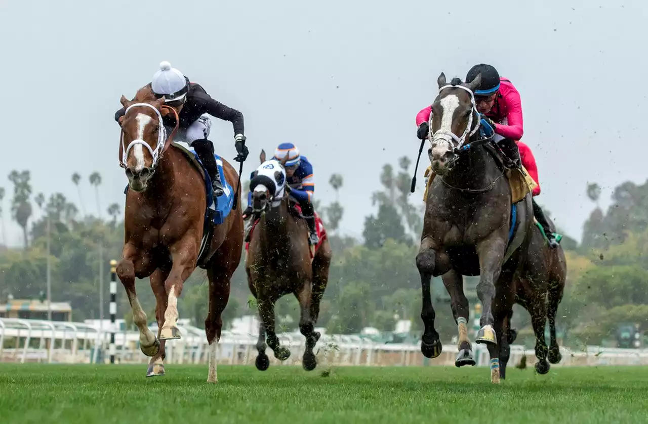 Horse racing’s new anti-doping program is ‘seismic’ change