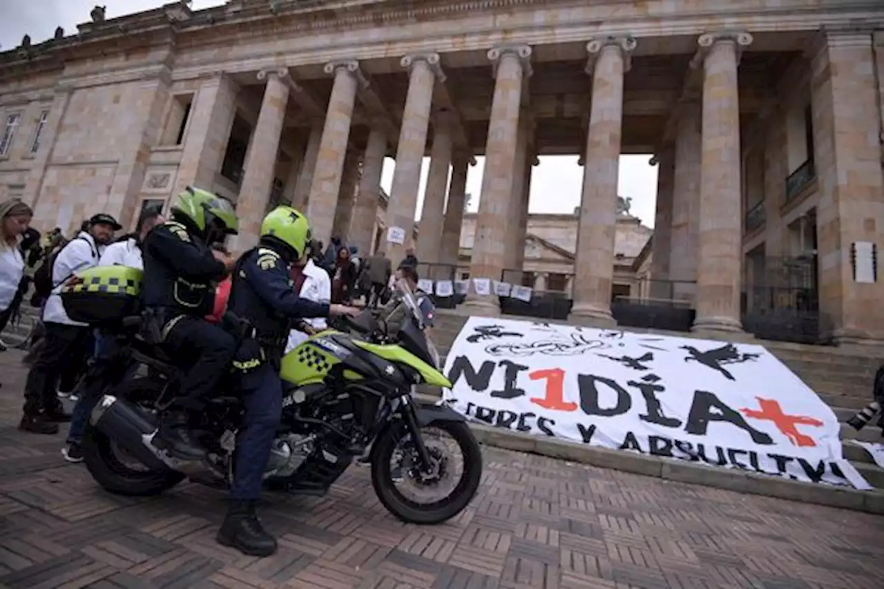 Según informe de ONU, hubo detenciones arbitrarias durante el paro nacional - Pulzo