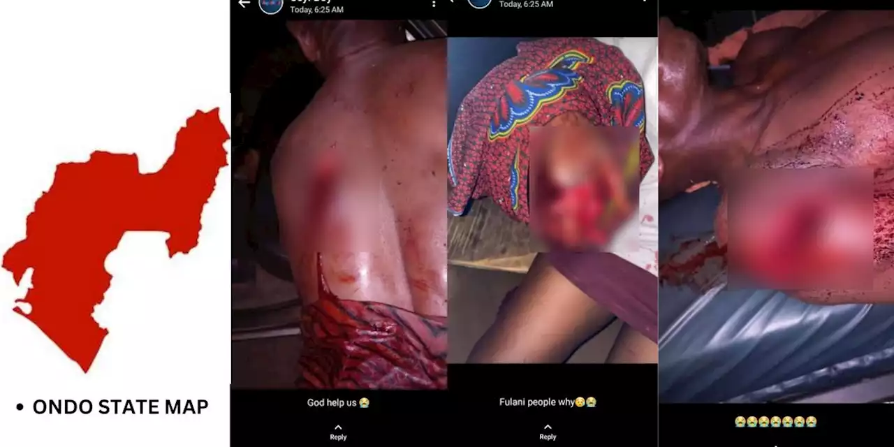 Armed Herdsmen Attack Ondo State Community, Abduct Residents, Brutalise Others | Sahara Reporters