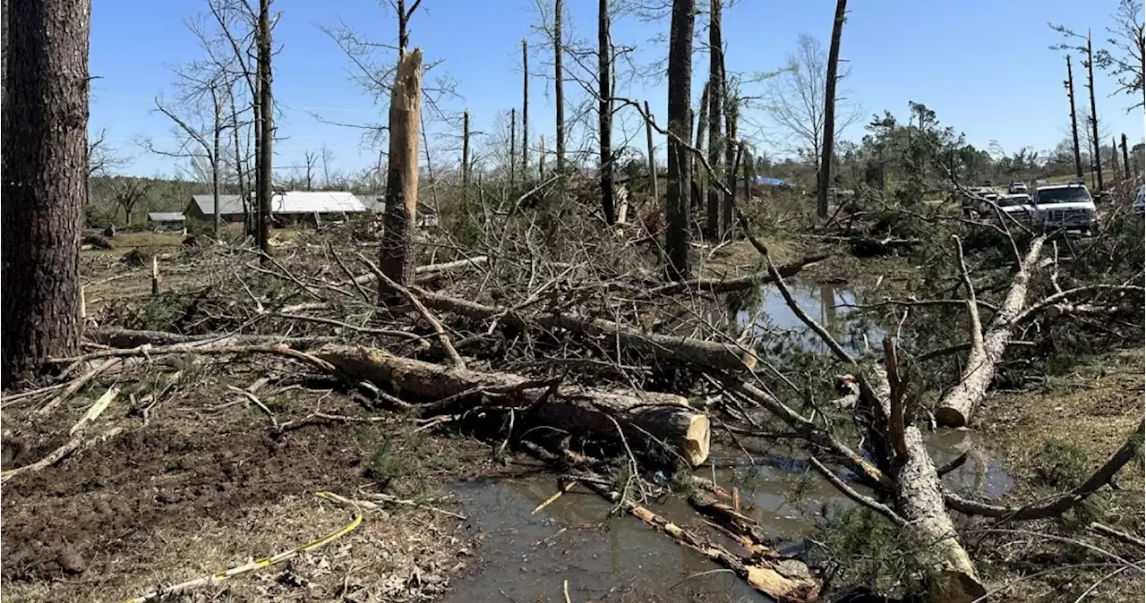 Tornados dejan al menos 26 muertos en Mississippi y Alabama; hay docenas de heridos