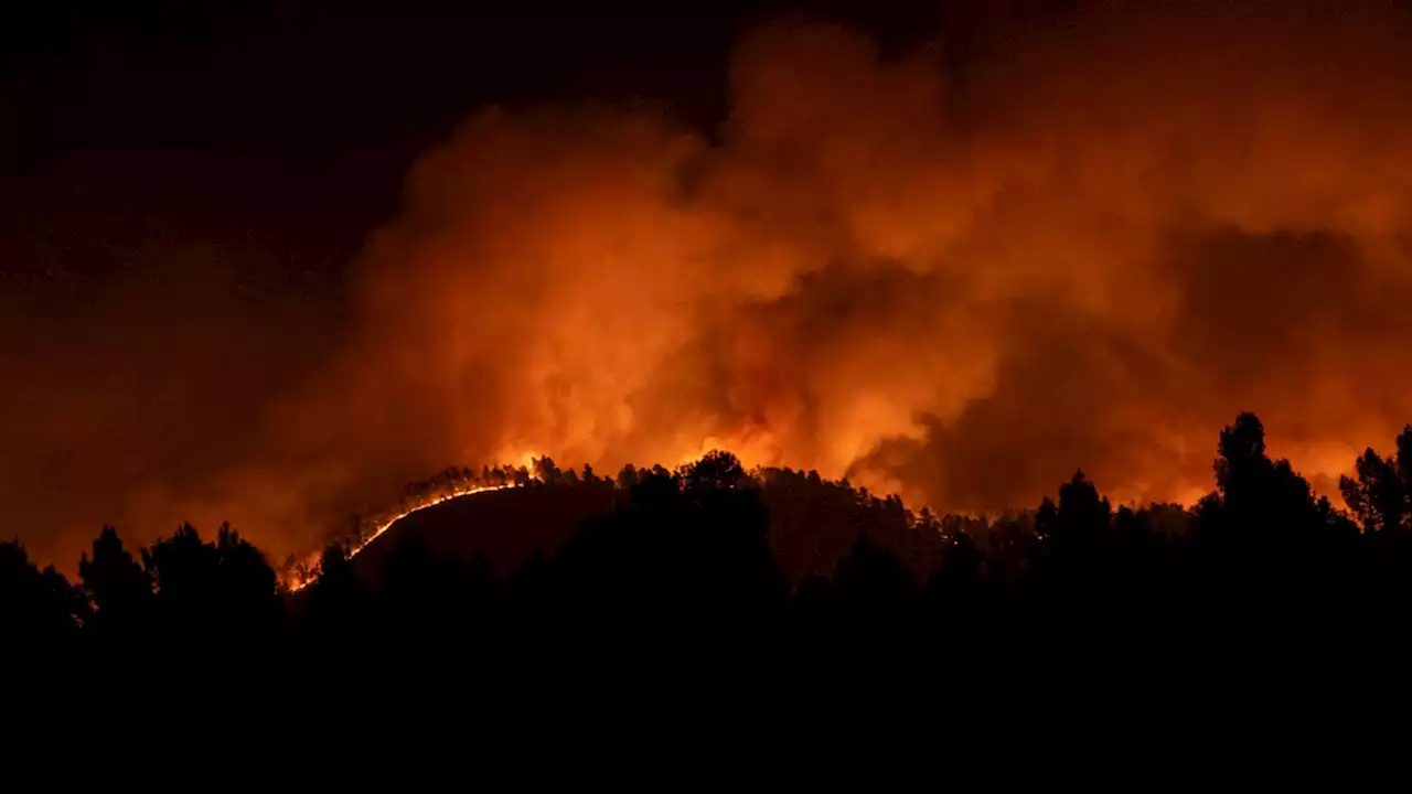 People leave animals behind as hundreds flee their homes during wildfire in Spain