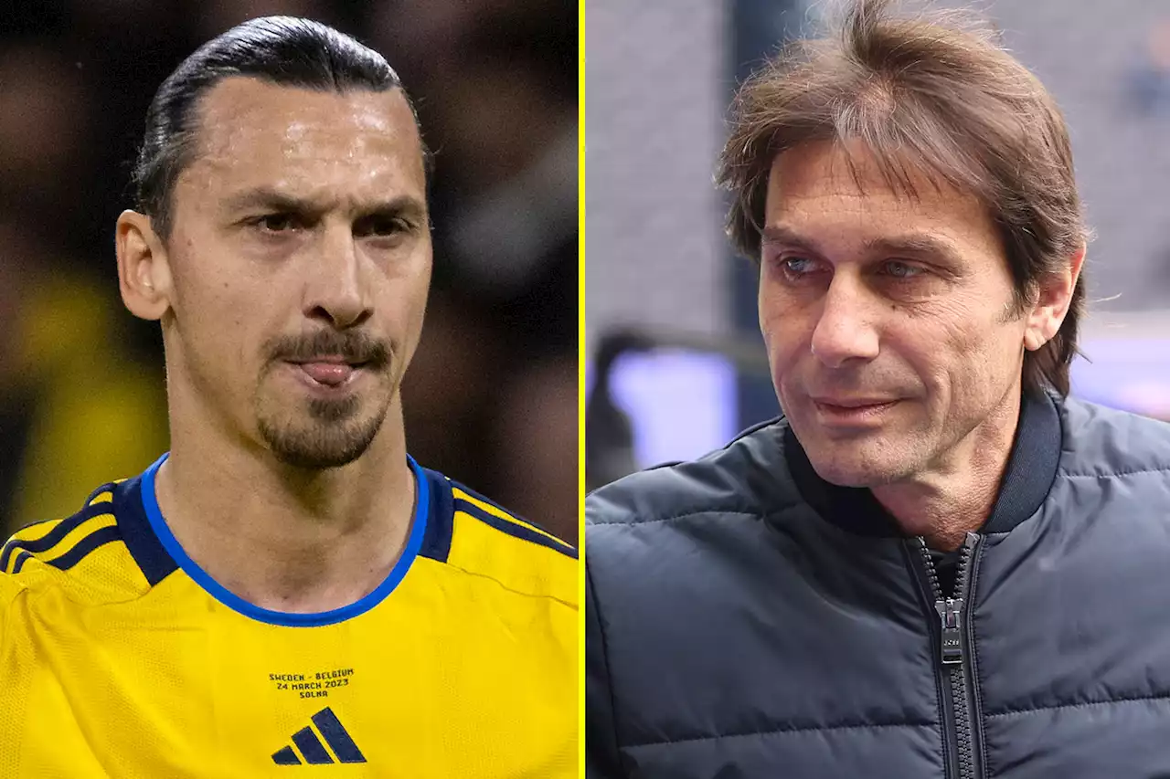 Ibrahimovic leaps to Conte's defence as Spurs boss set to be sacked for explosive meltdown