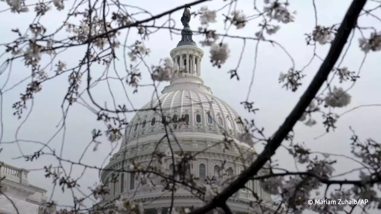 В Конгрессе заявили, что США не смогут оправиться от возможного падения доллара