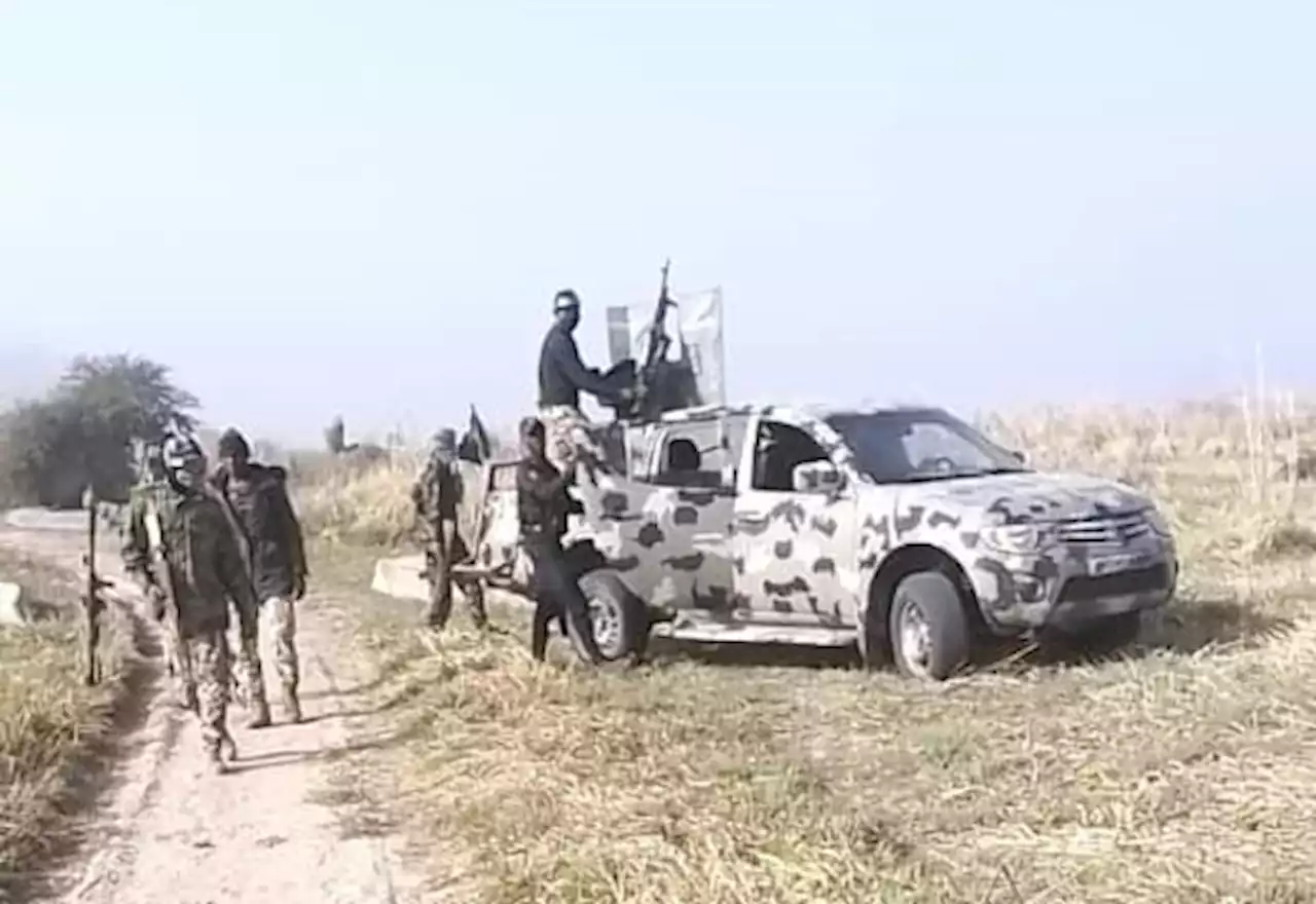 Troops raid 6 Boko Haram camps, kill terrorists in Borno | TheCable