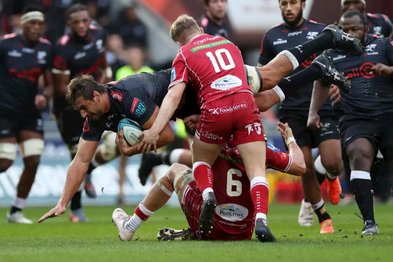 URC result: Scarlets beat a fully-loaded Sharks side | The Citizen