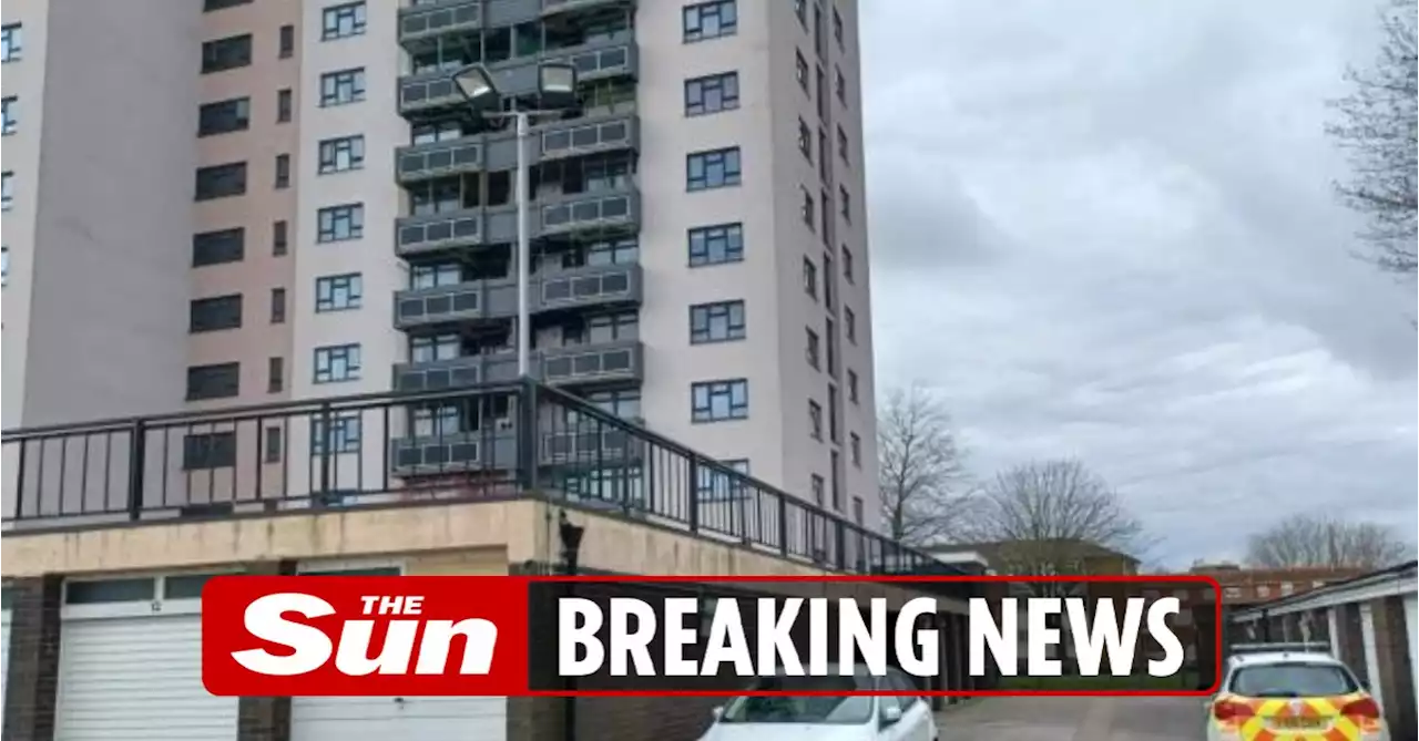 Cops scour river for clues after woman, 26, feared murdered at block of flats