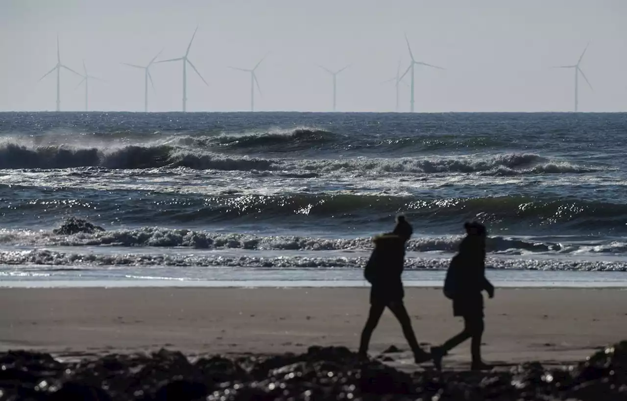 Au large de la Normandie, le plus grand parc éolien français attribué à EDF