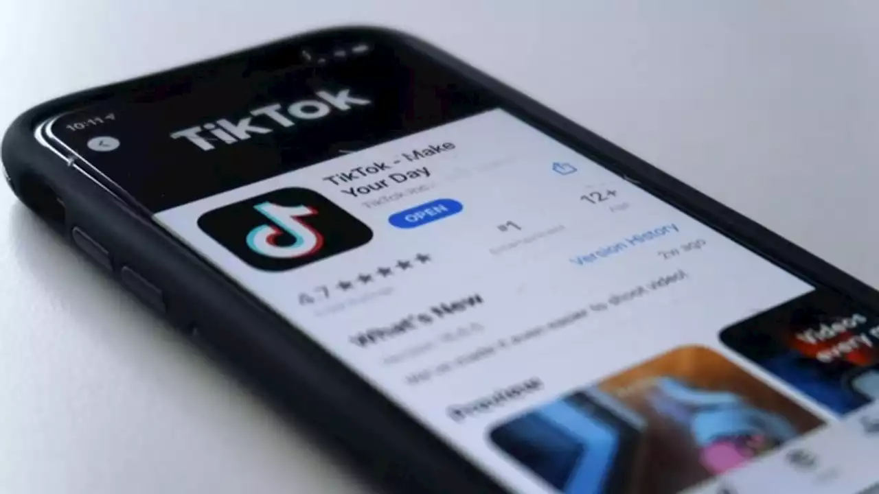 Gap grows between TikTok users, lawmakers on potential ban