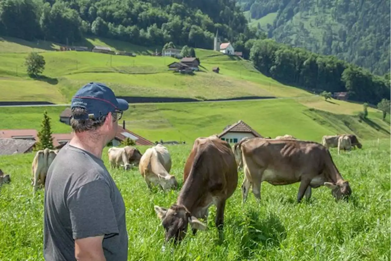 Die erfolgreichsten Braunvieh-Betriebsmanager im Jahr 2022 - bauernzeitung.ch