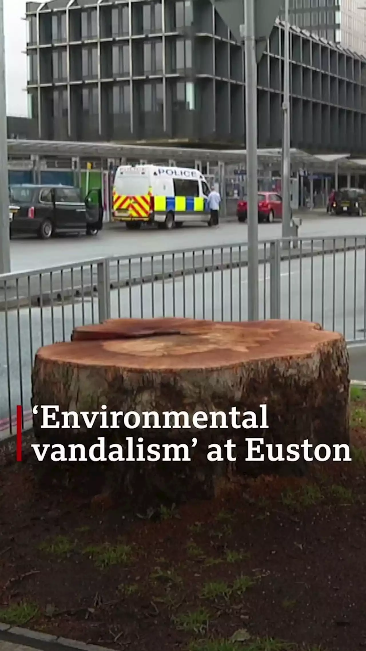 Trees in HS2 path felled despite Euston delay