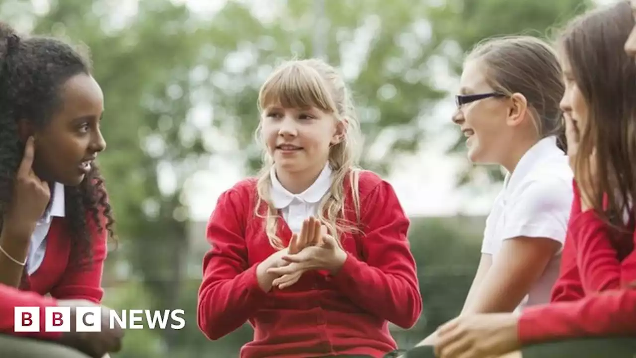 Welsh: Law to help all Wales' pupils speak confidently by 2050