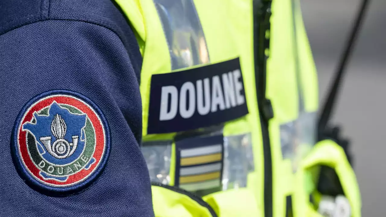 Hautes-Alpes: 187 kg de cannabis saisis lors d'une opération à Chorges