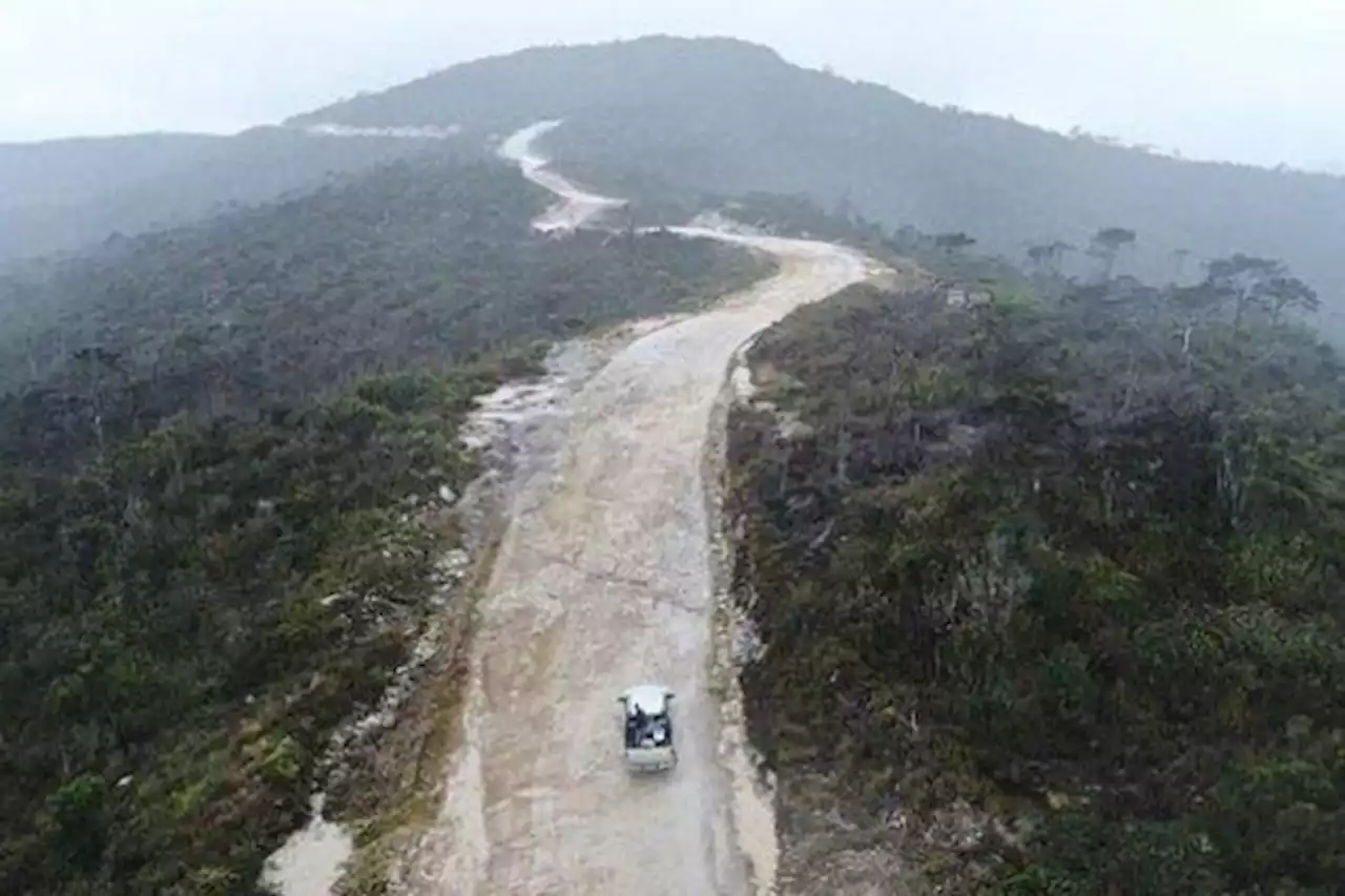 3 BUMN Bidik Lelang Proyek Jalan Trans Papua Senilai Rp3,5 Triliun