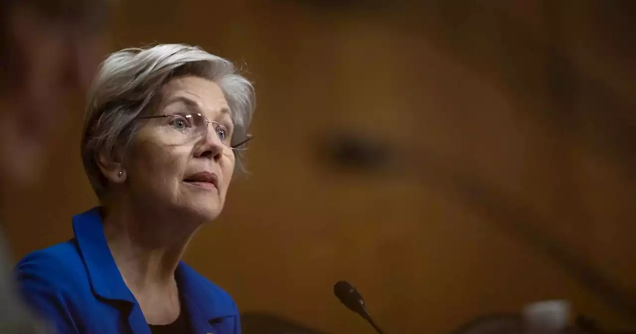 Elizabeth Warren announces Senate reelection bid