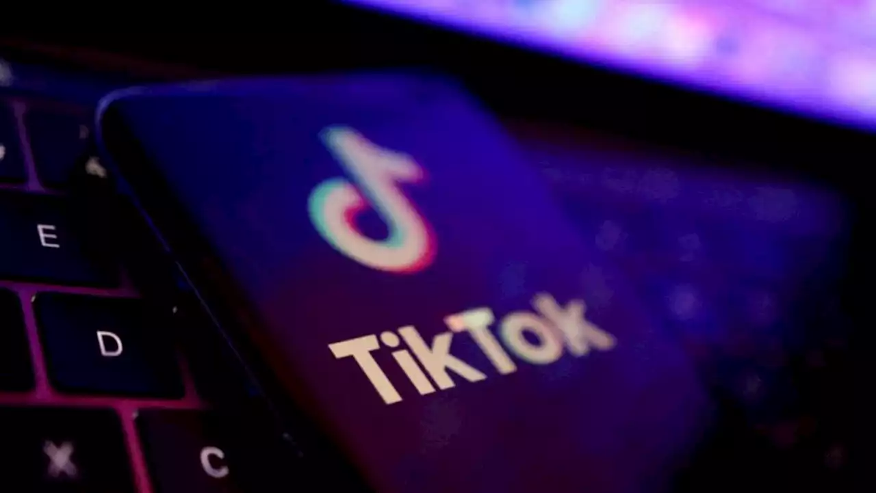 Japan ruling party group eyes ban on TikTok, other apps: Lawmaker