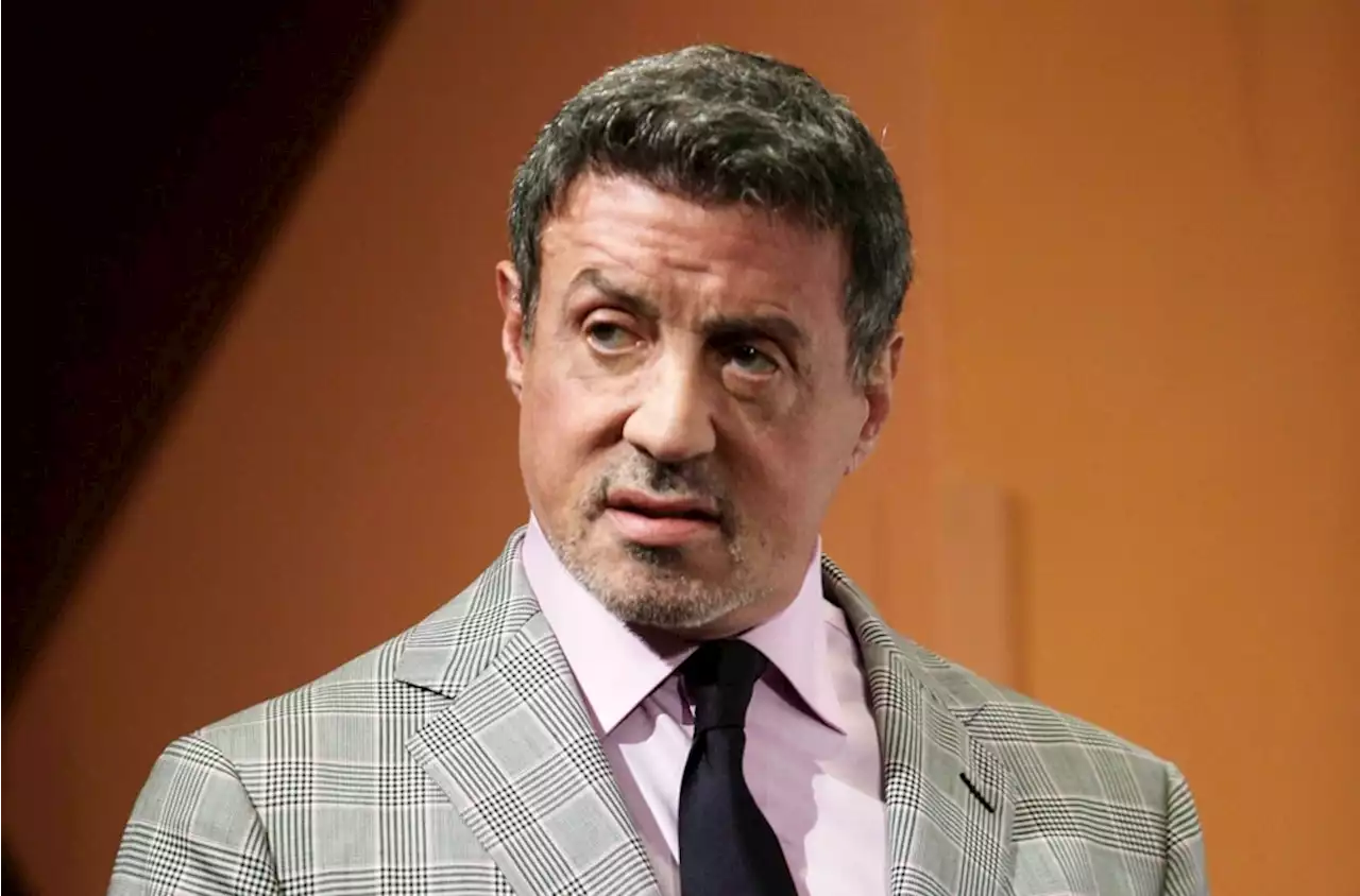 Rambo am Pinsel: Sylvester Stallone möchte wieder malen