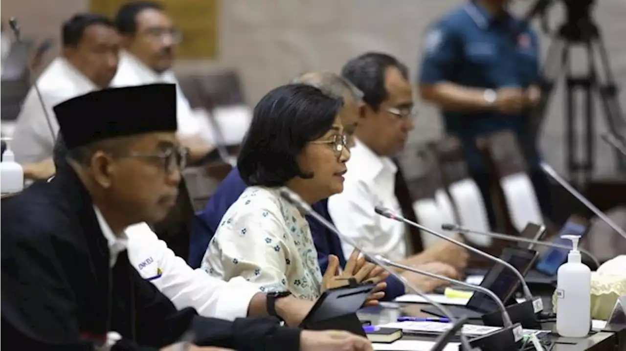 Banyak Orang Takut, Sri Mulyani Latih PNS Pajak Gak Galak