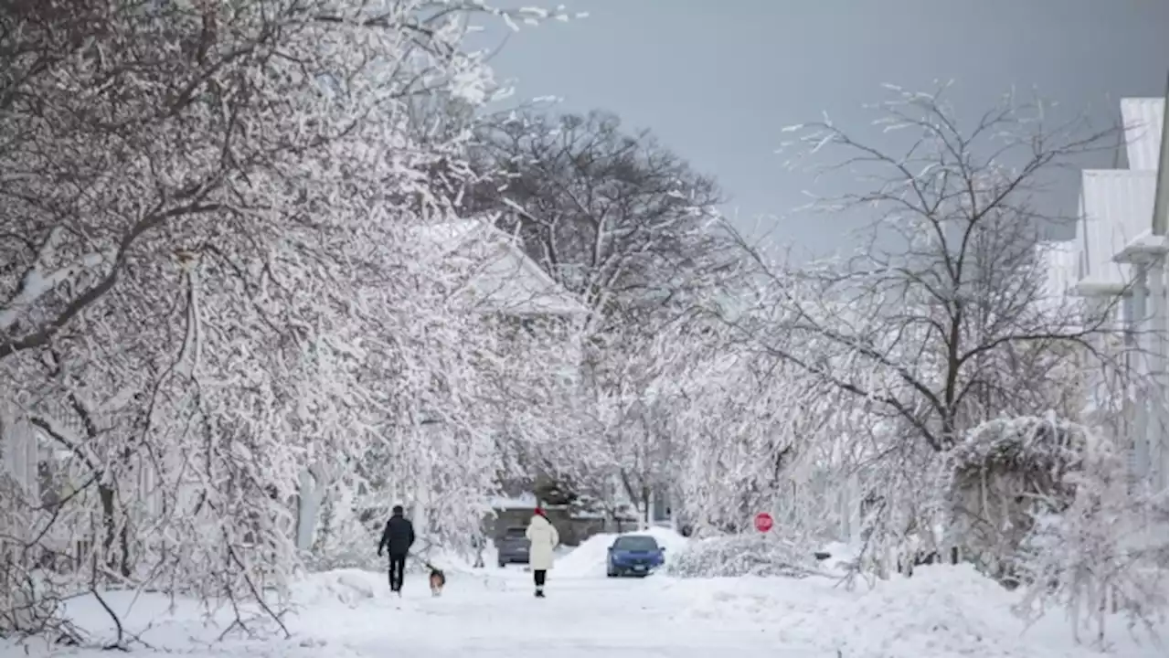 Ontario doles out $5.5M to small communities for storm clean up, recovery