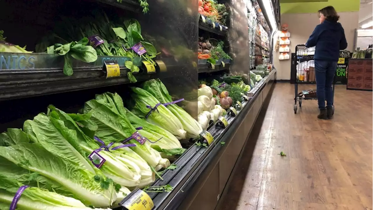 Lettuce prices likely to rise again amid California flooding, experts say