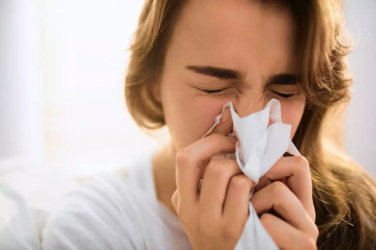 Chronic stuffiness could be rhinitis