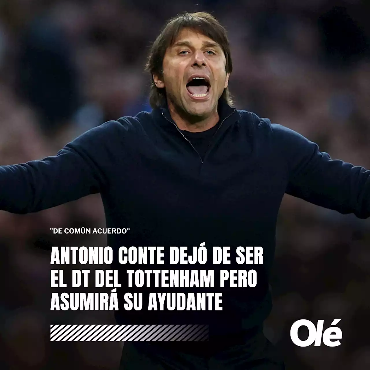 Antonio Conte no es más el técnico del Tottenham