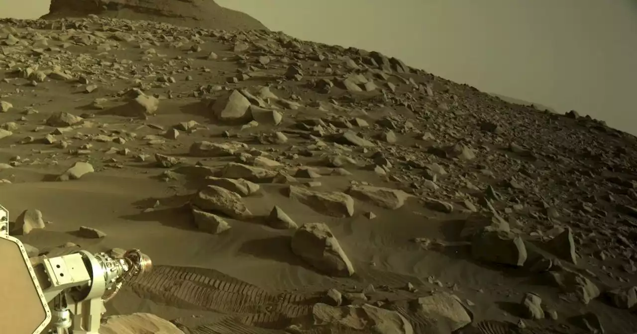 Perseverance and Ingenuity play a game of tag across Mars | Digital Trends