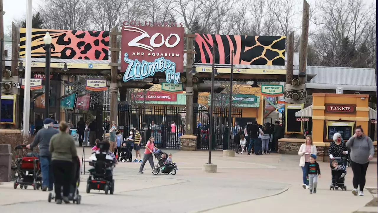 Columbus Zoo regains accreditation nearly 18 months after it was revoked by AZA