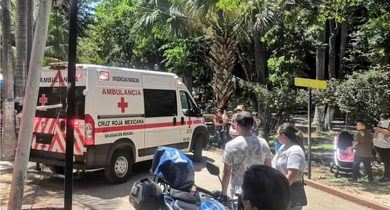 Reportan 3 lesionados en descarrilamiento de trenecito en zoológico de Yucatán