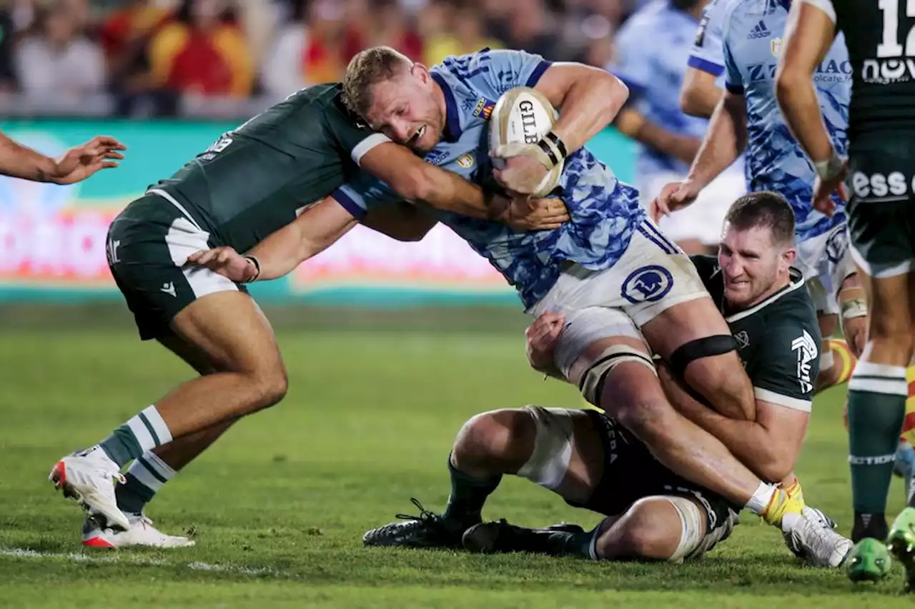 Rugby : à Perpignan, l'USAP perd son troisième ligne, Brad Shields