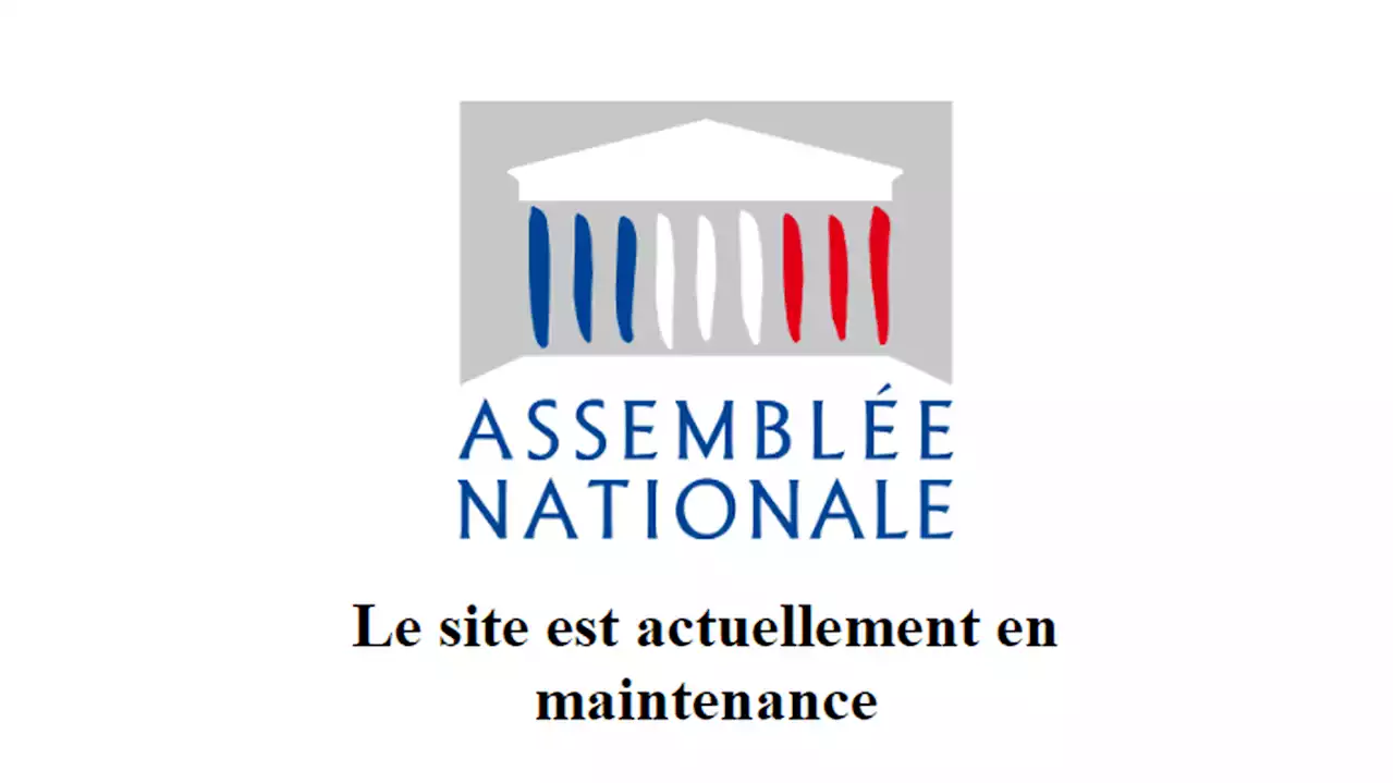 Le site internet de l'Assemblée nationale est en panne, un groupe de hackers russe revendique une cyberattaque