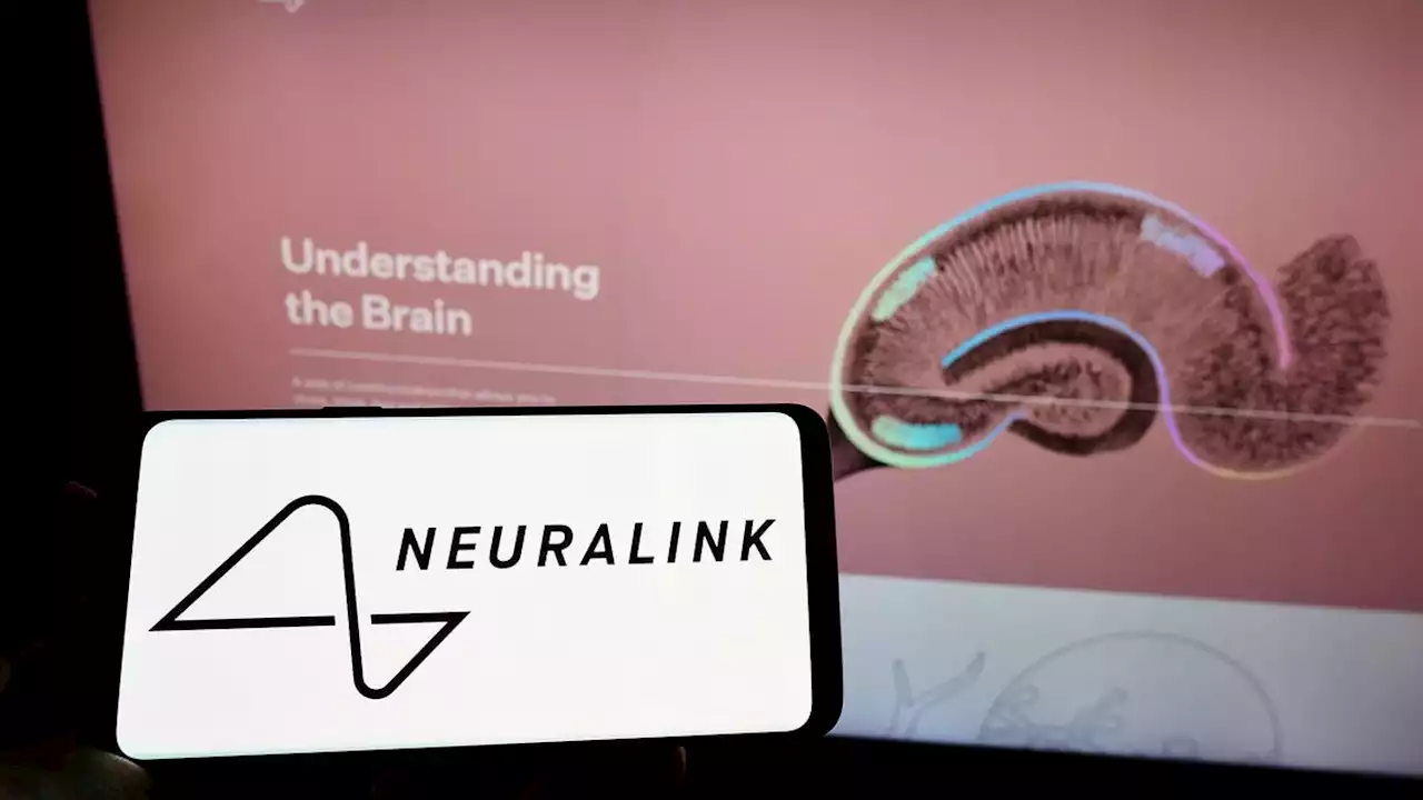 Elon Musk's Neuralink Seeks Surgical Partner for Human Trials, Report Says